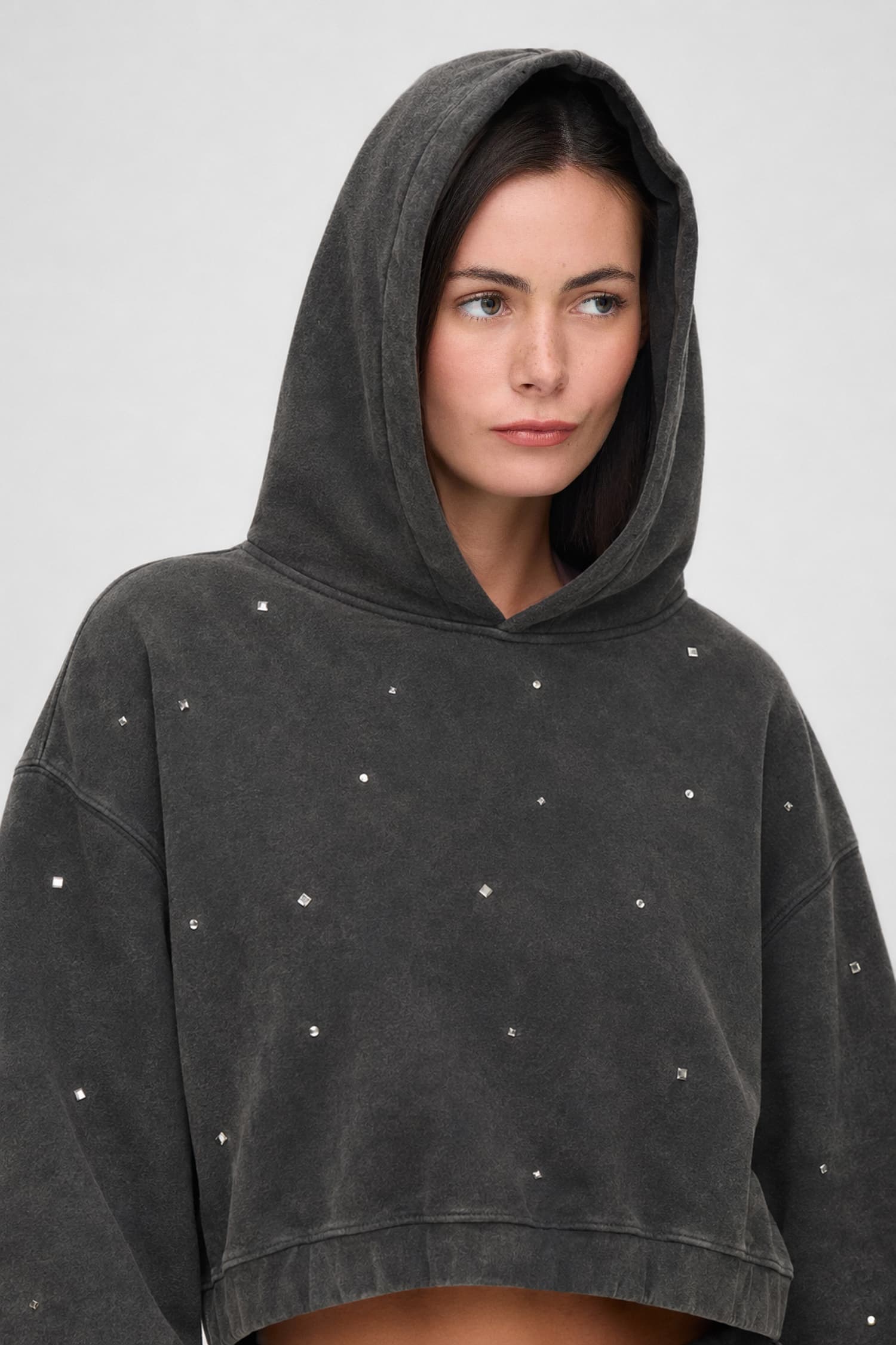 BUZO HOODIE FENIX